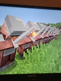 Villager rebellion 
