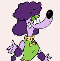 Dollie Poodle
