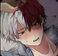 shoto todoroki 