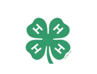 4-H-MLM