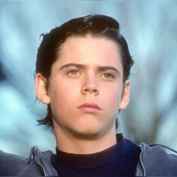 Ponyboy Curtis 