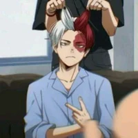 Shoto Todoroki