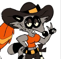 Pirate raccoon lady