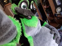 Greenywoof Fursuit 