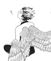 Bokuto Harpy Au