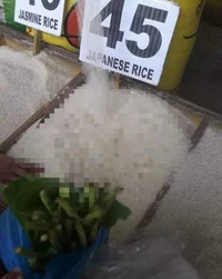 Japanese rice