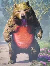 Forest bear