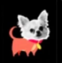 Chiwawa 