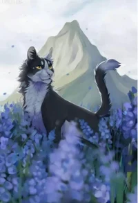 Звездный луч