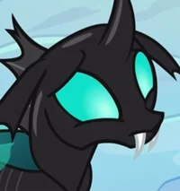 Thorax 