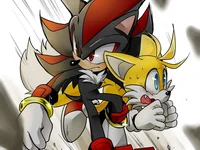 Shadow and Tails 