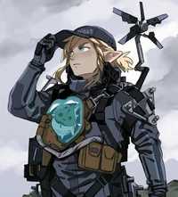 Link-militar