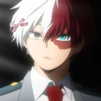 Shoto Todoroki
