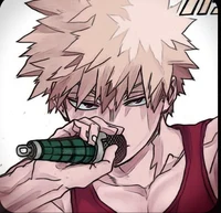 katsuki bakugo 