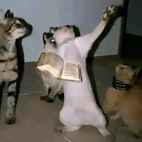 Taz