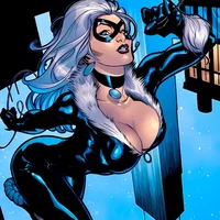Black Cat