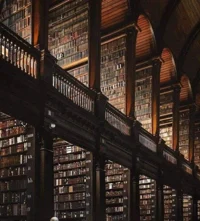 ZZ -Snapwood Academy