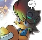Sally Acorn