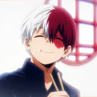 Mha Transfer Student