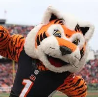 Who Dey
