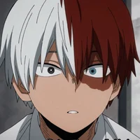Shoto Todoroki 