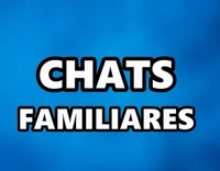 Chat familiar