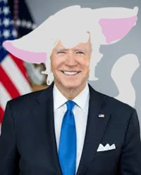 joe biden cat boy