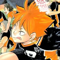 Hinata Shoyo 