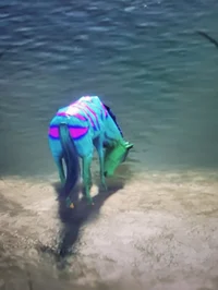 Aqua dazzle horse