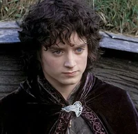 Frodo Baggins