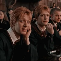 The Weasley Twins