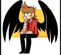 TomTord