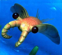 Anomalocaris