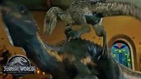 Blue y Indoraptor 