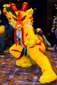 Tien long Fursuit 
