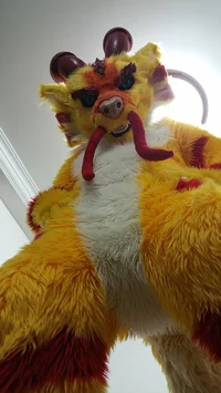 Tien long Fursuit 