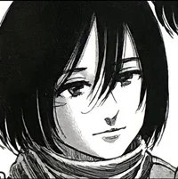 Mikasa Ackerman BR