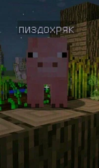 Pig from Minecraft 
