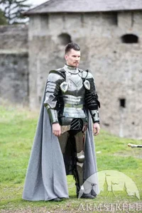 Professeur de combat