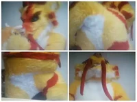 Tien long Fursuit 