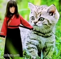 Cringe girl with cat