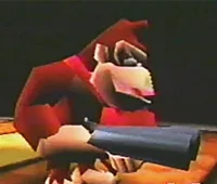 DK with GUN