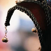 Jester - Female User