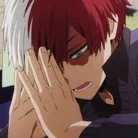 Shoto Todoroki