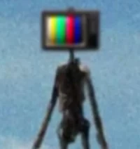 TV head