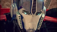 Optimus tfp