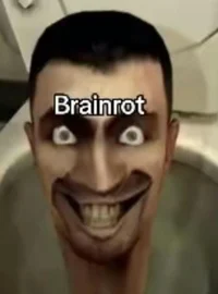 Brainrot person