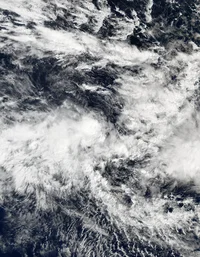 Tropical Disturbance
