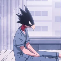 Tokoyami Fumikage