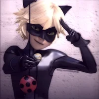 Cat Noir